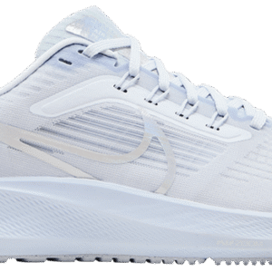 Nike Pegasus 39 'Grey'