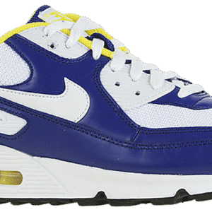 Nike Air Max 90 'Purple'