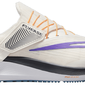 Nike Pegasus 39 'Shadow'