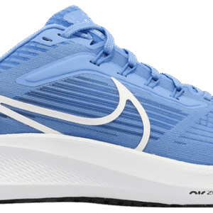 Nike Pegasus 39 'Ocean Blue'