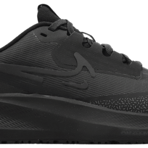 Nike Pegasus 39 'Triple Black'